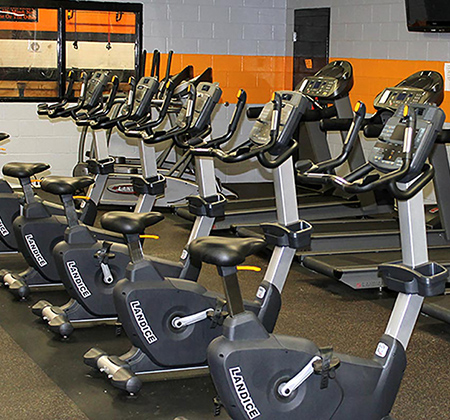 Rows of exercise machines