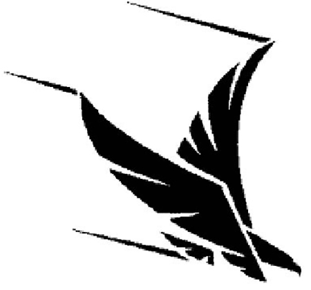 Riverview Hawk logo
